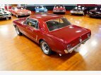 Thumbnail Photo 18 for 1965 Ford Mustang